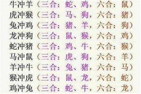 狗生肖六合|狗的三合和六个合生肖是什么